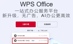 WPS国际版打印带图片文档异常？图片资源与页面设置优化