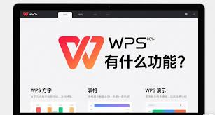 WPS国际版条件格式不显示？功能兼容与客户端刷新技巧