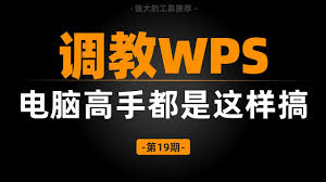 WPS国际版网络延迟导致操作卡顿？优化方法